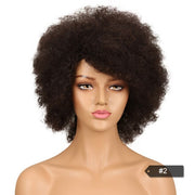 Afro Kinky Curly Wig Brazilian Human Hair Wigs