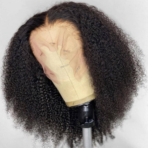 Afro Kinky Curly Human Hair Wig 200% Density 13x4 Glueless Lace Frontal Wig Pre-plucked